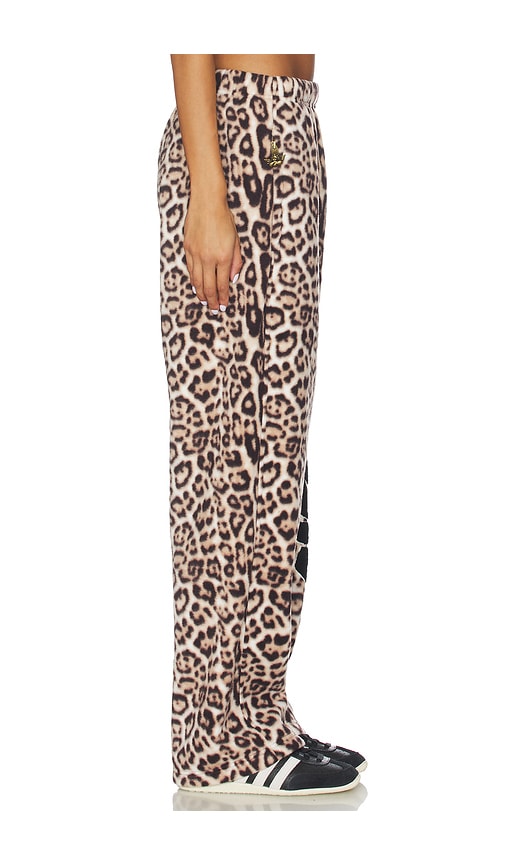 Boys Lie No One Likes A Cheetah Alex Pants In Animal Print