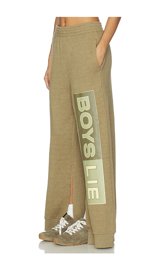 Boys Lie Better Half Garden Mm Pant In Brown