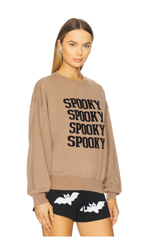 Beach Riot Devyn Oversized Sweatshirt In Brown