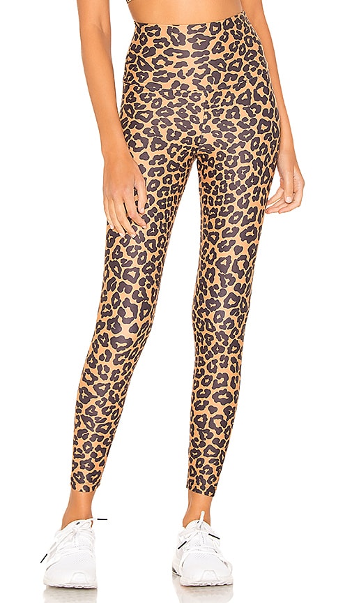 Pact Women's 7/8 Pocket Legging, Chocolate Leopard, Large, Chocolate  Leopard, Large : : Fashion