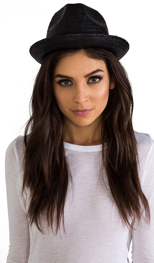 Castor Fedora