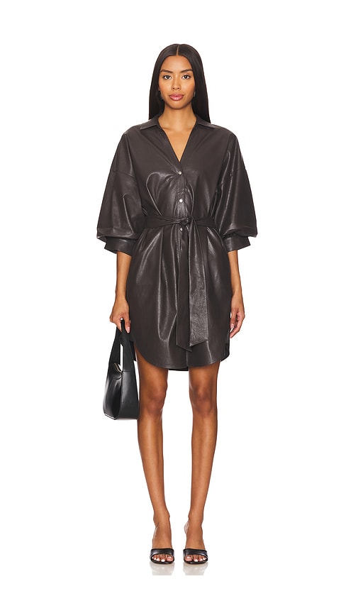 Shop Brochu Walker Kate Belted Vegan Leather Shirt Dress In Timber