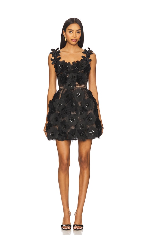 Rosalie Noir Mini Dress in Black. - size XL (also in L, M, S, XS)