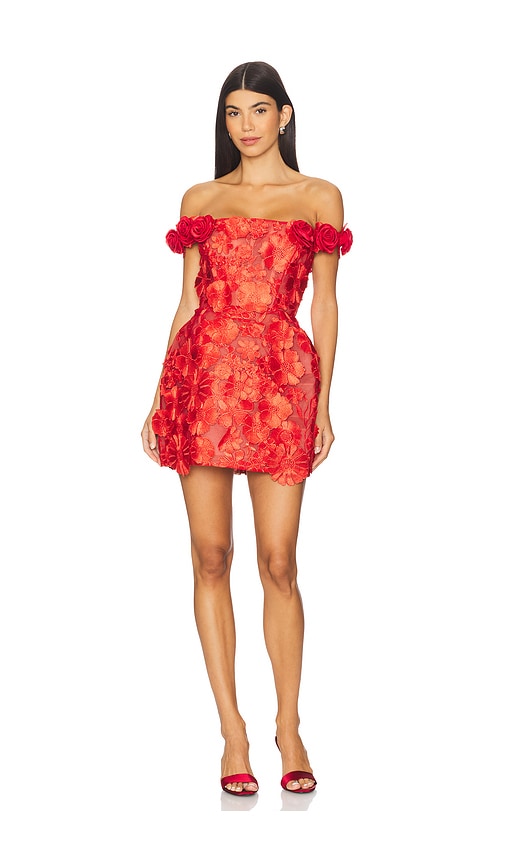 Jasmine Maraya Mini Dress in Red. - size S (also in L, M, XS)