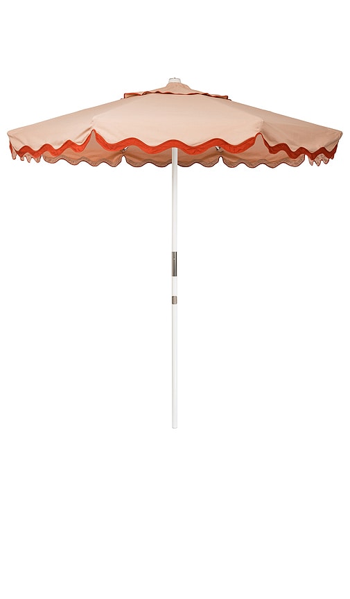 MARKET UMBRELLA 雨伞