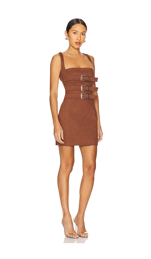 Shop By.dyln Cindy Mini Dress In 铁锈色