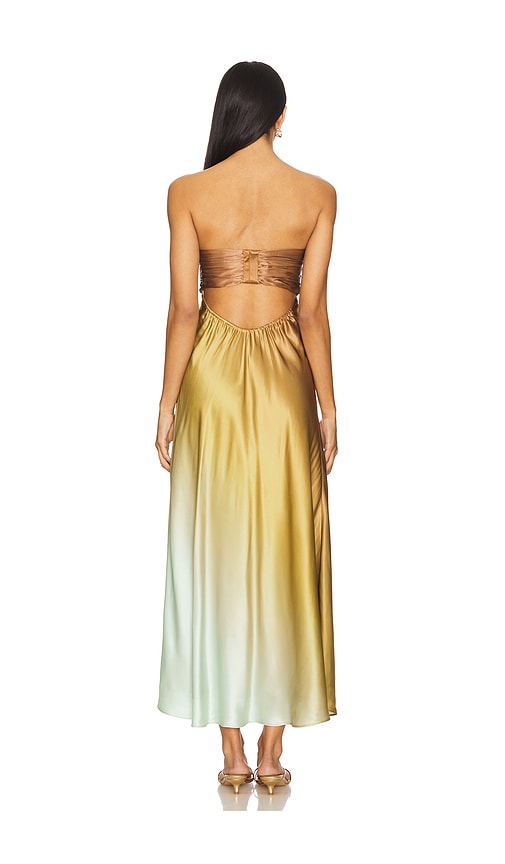  Cami Nyc Maxikleid Dress In Brown,mustard. Größe Xs. Also In M. 