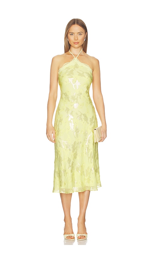 CAMI NYC ROBE RUZITA en Yellow Taille S Also en XS M L XL 631 €
