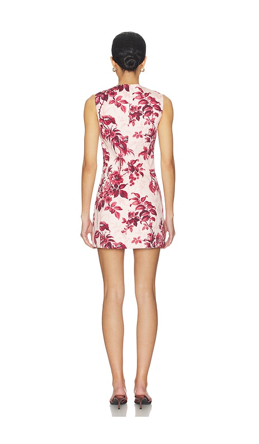  Cara Cara Kleid Posie In Pink. Größe 4. Also In 2, 6. 