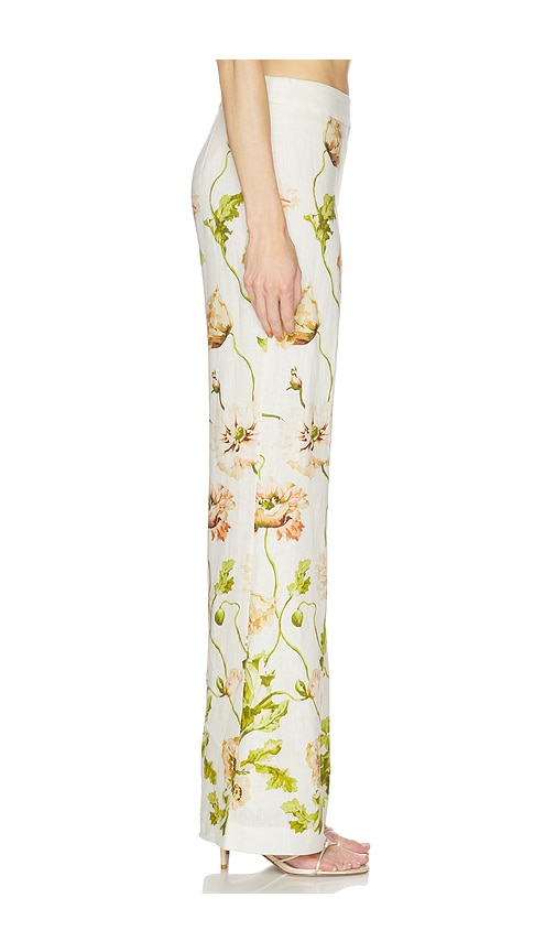  Cara Cara Hose Sunflower In Ivory,green. Größe 4. Also In 6, 10, 12. 