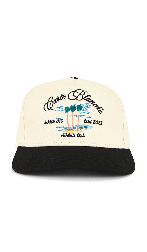 Carte Blanche The Palm Tree Snapback Hat In Multi