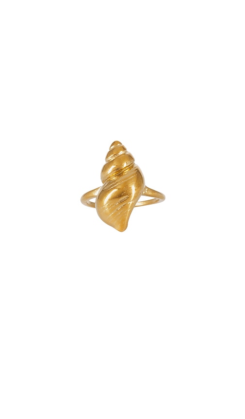 Shop Casa Clara Conch Ring In 골드