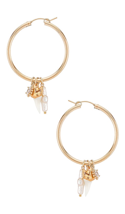 Martello Shark Hoop Earrings