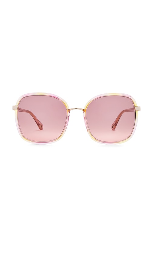 Chloe Franky Sunglasses in Havana, Pink, & Red