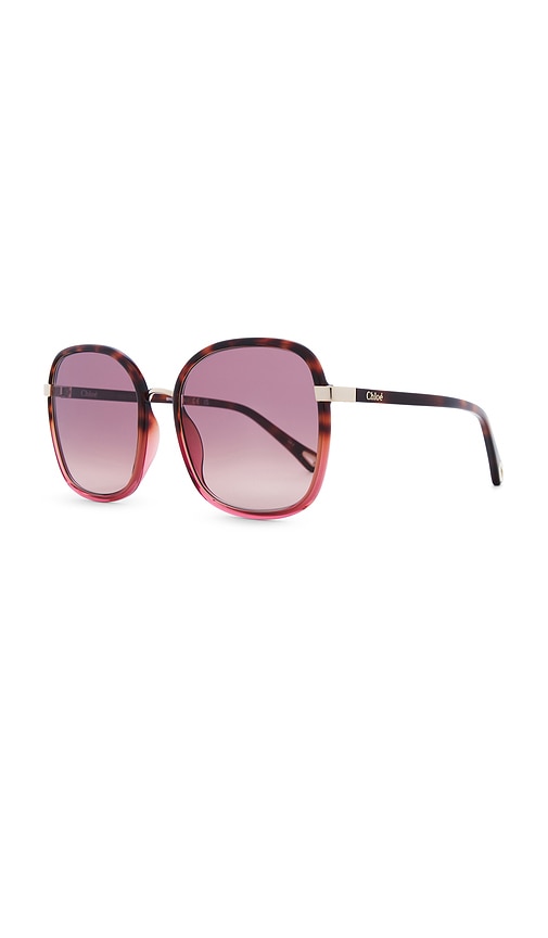 Chloé Franky Sunglasses In Havana & Red