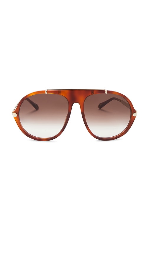 Revolve Aly Sunglasses Chloe