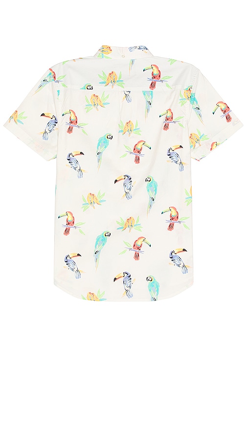 Shop Chubbies The Dude Where's Macaw Friday Shirt In Off White