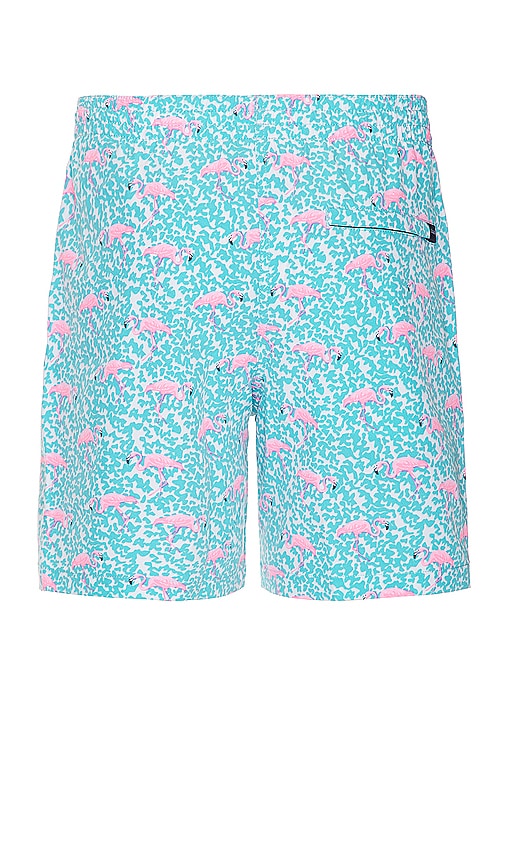 Shop Chubbies The Domingos Are For Flamingos 7 Swim Short In 鲜蓝色