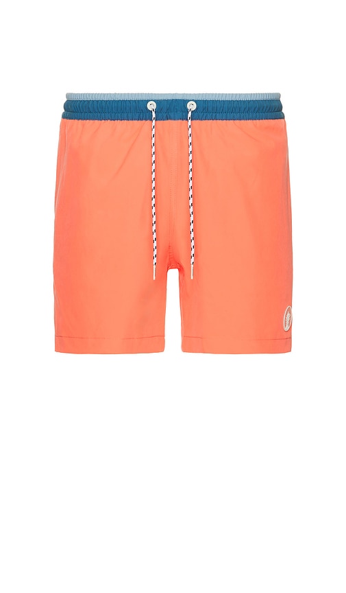 Chubbies The Reef Riders 5.5