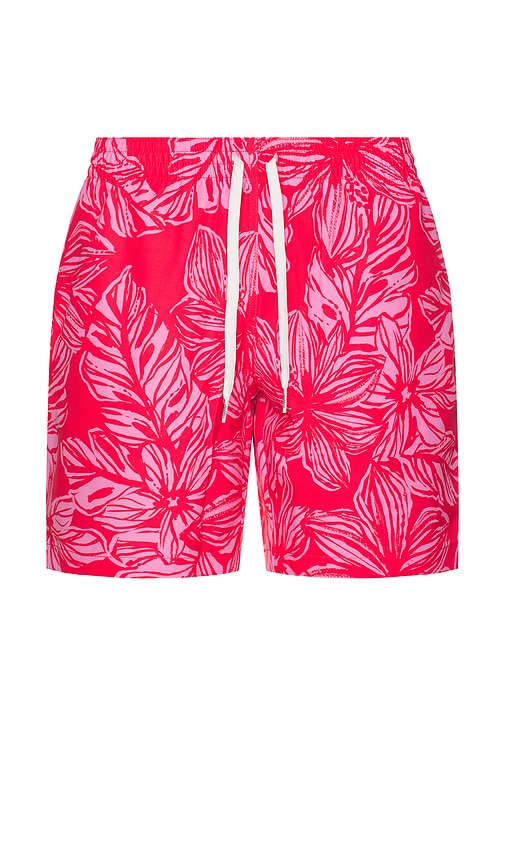 SHORT DE BAIN THE in . Size M, S, XL/1X - Chubbies - Modalova