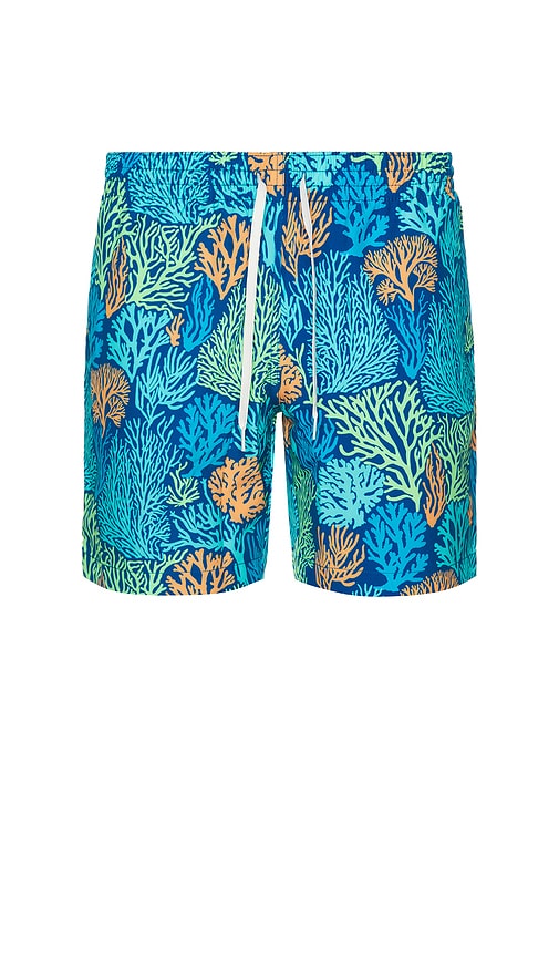 SHORT DE BAIN THE in . Size M, S, XL/1X - Chubbies - Modalova