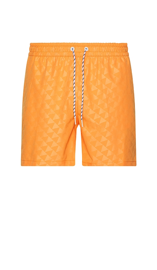 SHORT DE BAIN THE in . Size M, XL/1X - Chubbies - Modalova