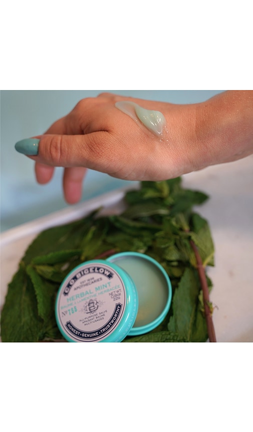 C.o. Bigelow Herbal Mint Salve Tin