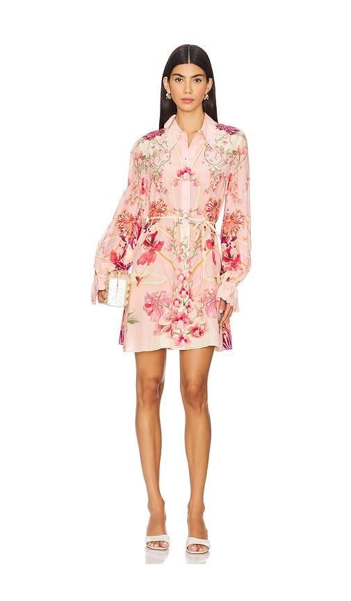 Camilla Shift Shirt Dress in Blossoms And Brushstrokes