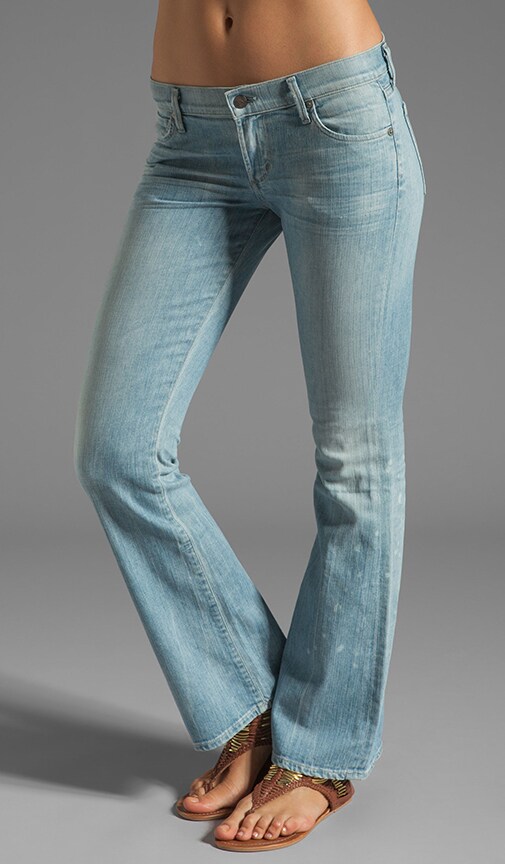 Dita Petite Bootcut