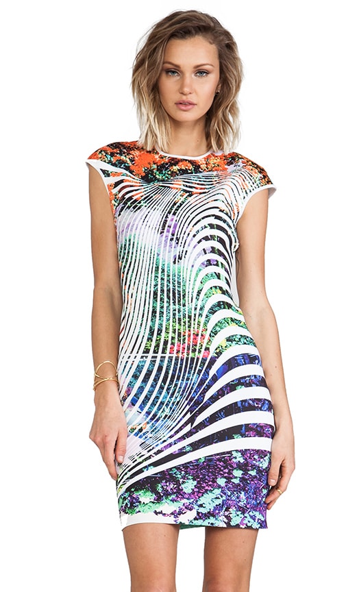 Ribbon Landscape Neoprene Dress
