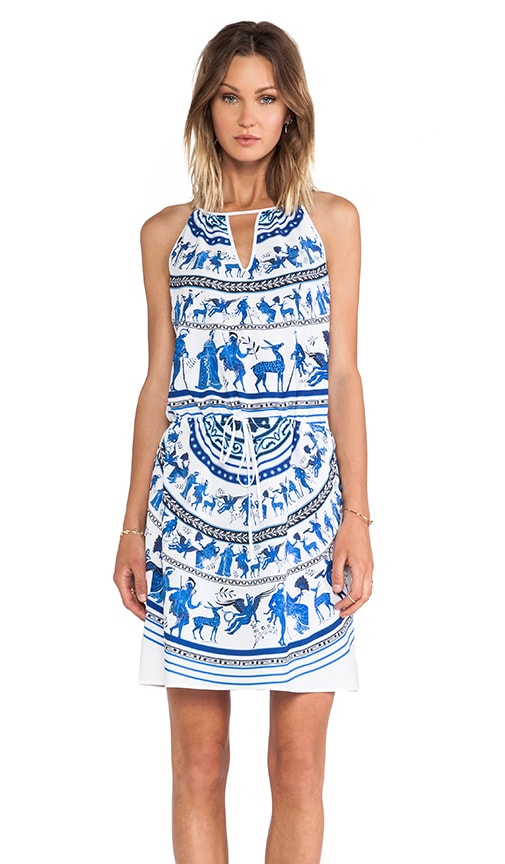 Corinthian Vase Dress