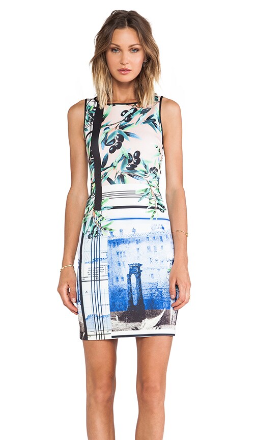 Olive Tree Neoprene Dress