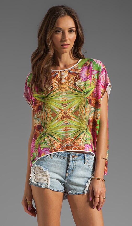 Fools Gold Top