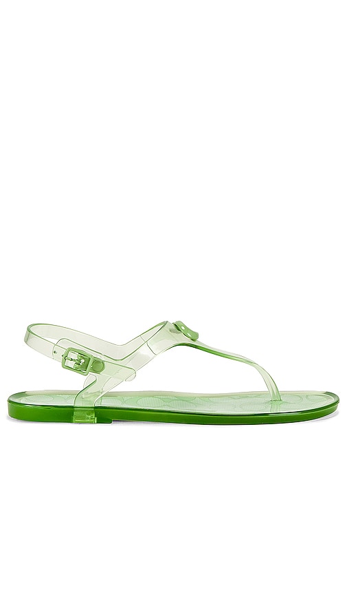 COACH Pelican Jelly T-Strap Sandals | luckyscloset | Strap sandals, T strap  sandals, T strap