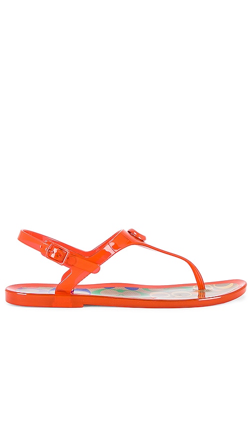 Coach Natalee Jelly Sandal in Red Orange REVOLVE