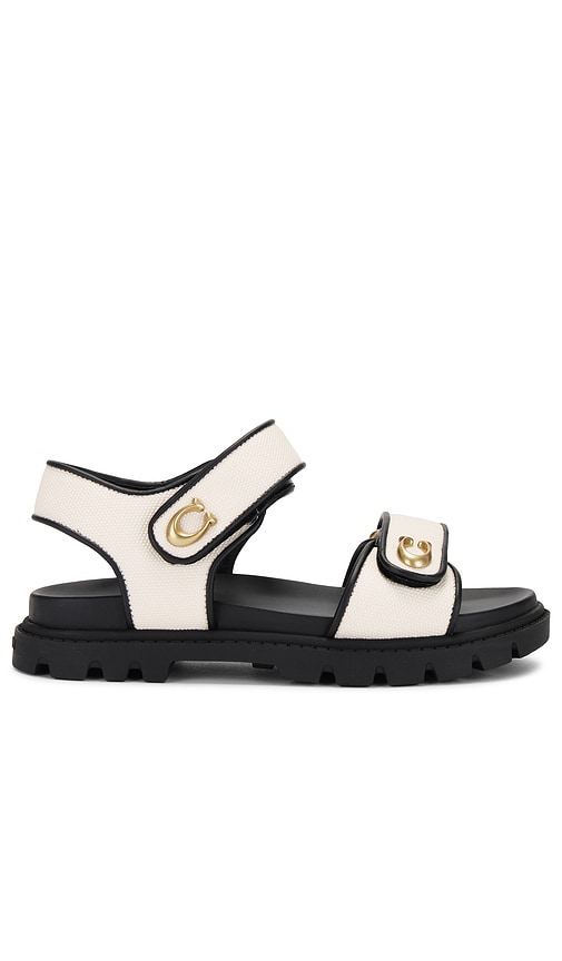 Coach Brynn Sandal: Black and White - The Ultimate Guide