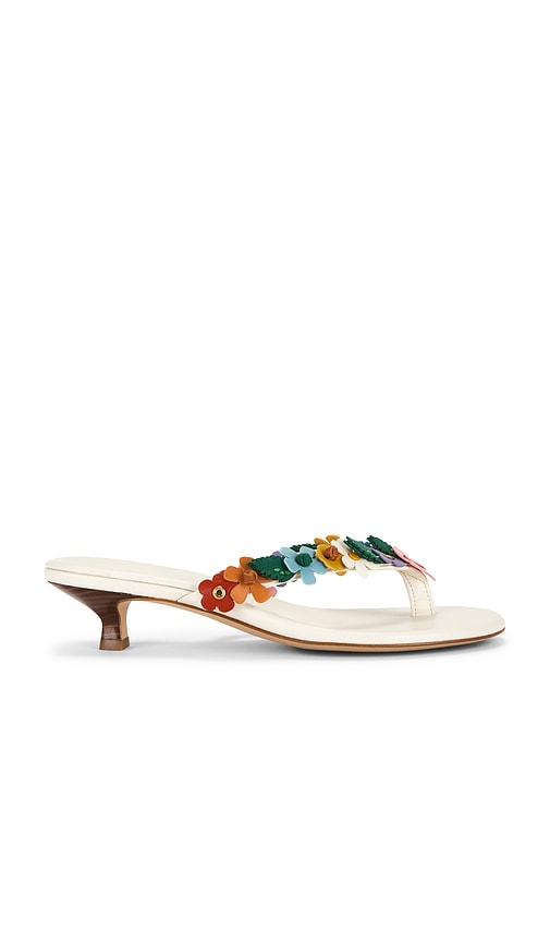 Coach Tea Rose Thong Kitten Heel