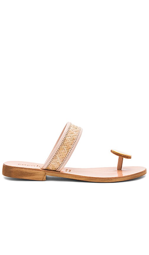 cocobelle sandals