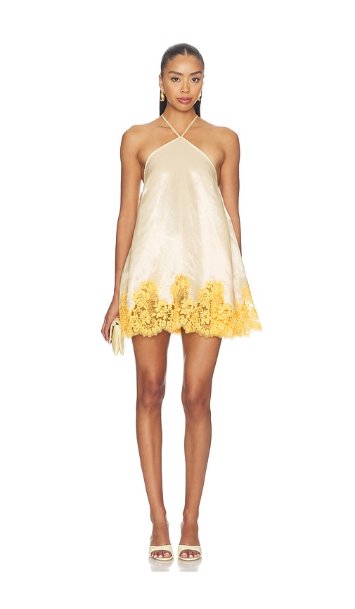 Anahi Mini Dress