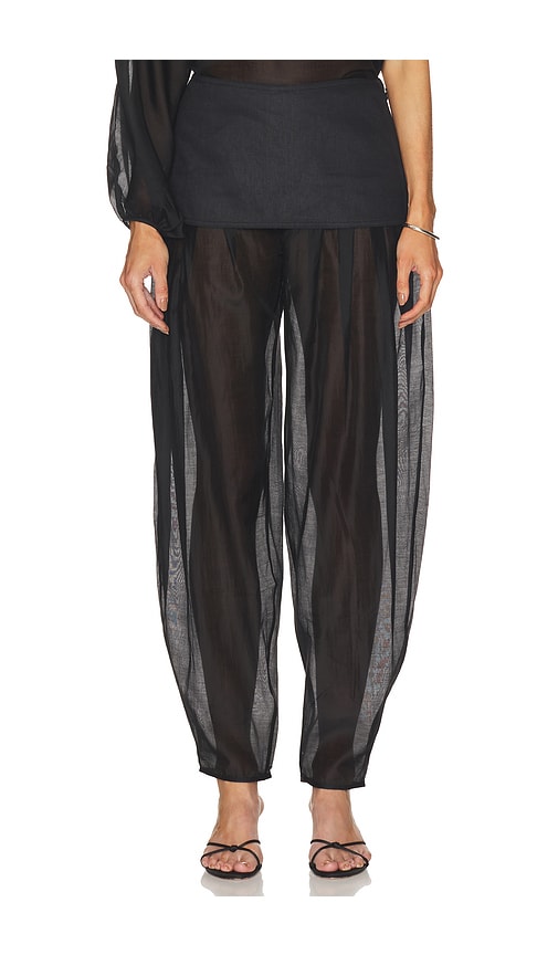 Evelia Pant