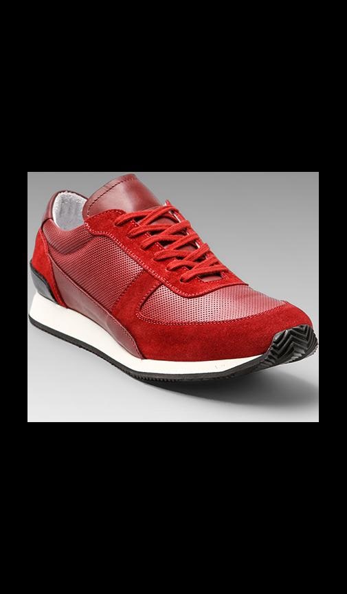 Track Shoe