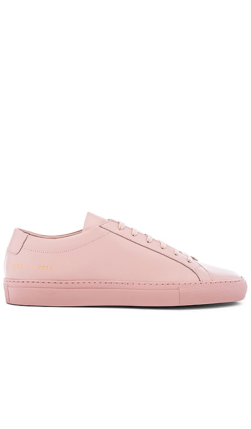 achilles low blush