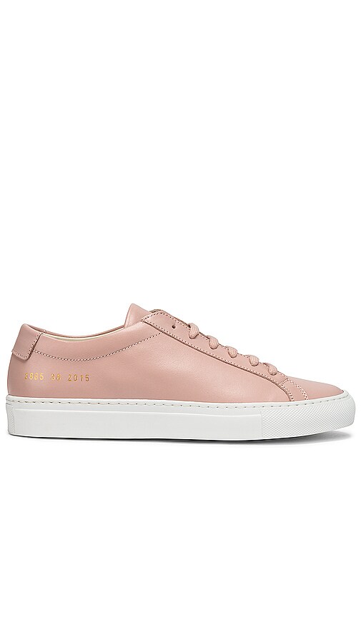 common projects achilles blush