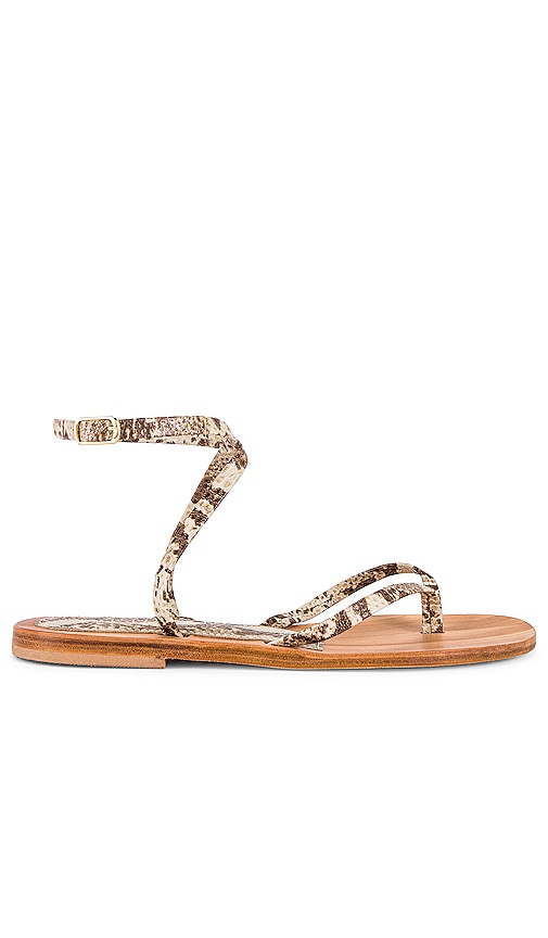 Cornetti Arzachena Sandal In Beige | ModeSens