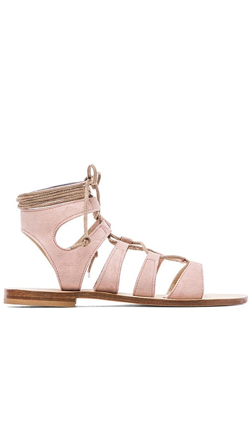 blush gladiator sandals