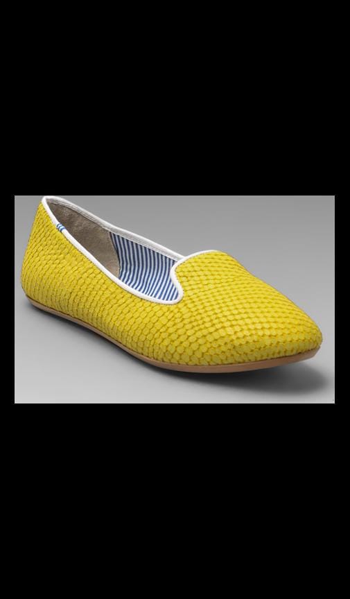 Lizzette Flat