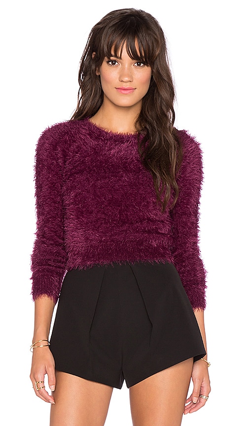 Long Sleeve Crop Sweater