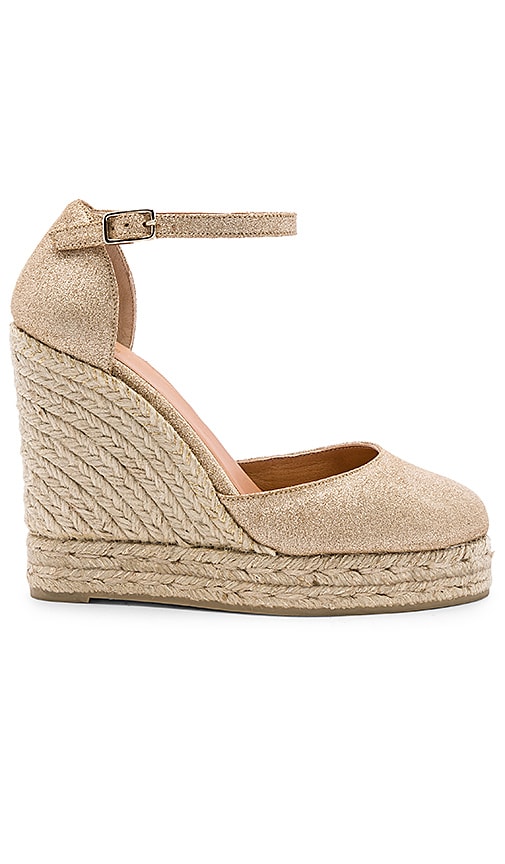 Carissa Wedge