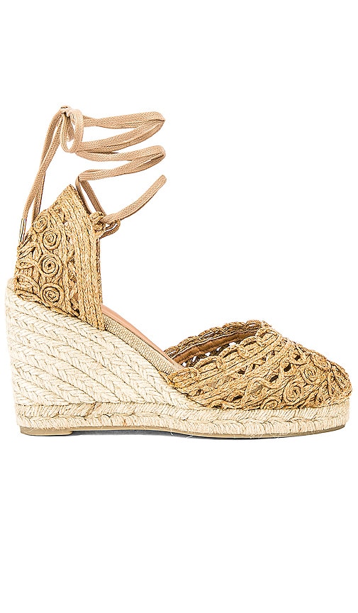 Carina Wedge
