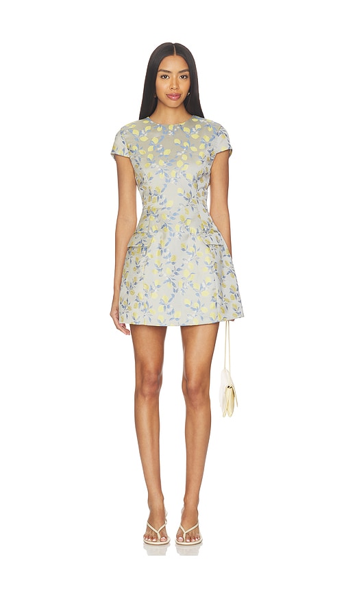 Curaae by Elliatt Annie Mini Dress